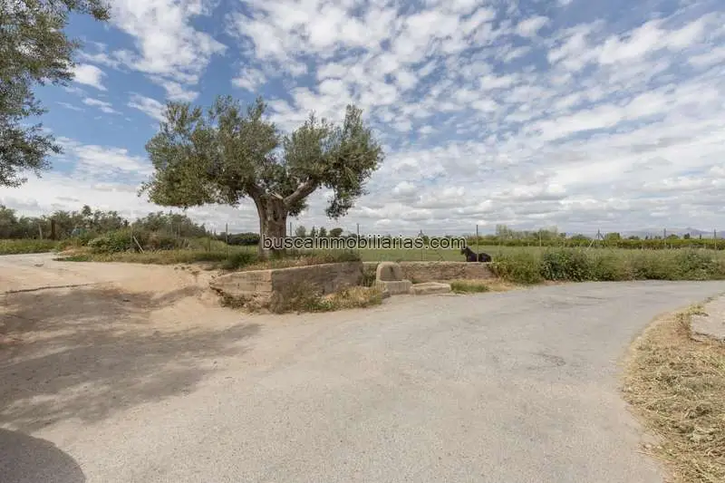 Parcela Rustica en Venta La Zubia Gran Capacidad