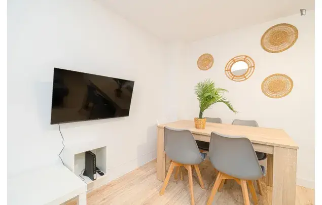 Alquiler Habitacion Estudiantes Elche Piso Compartido