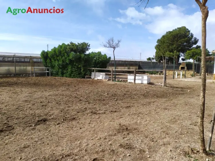 Venta  de Finca con construcción en Almería