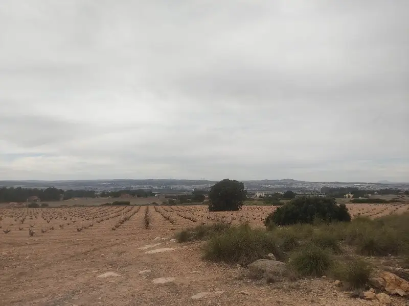 Parcela en Venta Sugel Almansa 26000m2