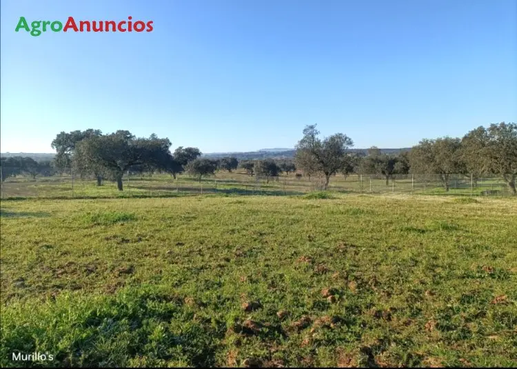 Venta Finca Recreo Badajoz Malasaradas