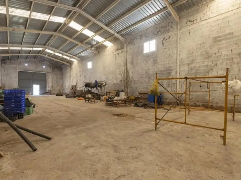 Nave Industrial 300m² con Parcela Rústica 7245m² y Olivos - Granada