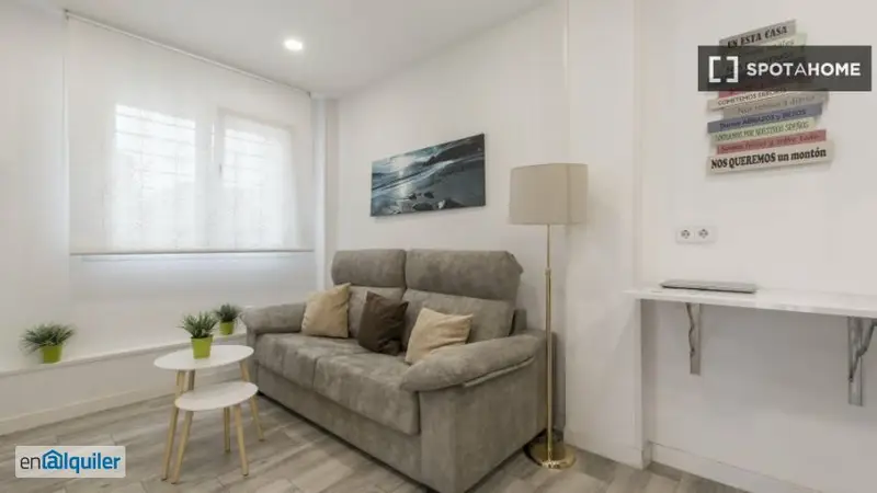 Apartamento Amueblado 1 Dormitorio Madrid Calle Virgen Aranzazu