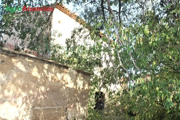 Venta  de Finca de regadío con masía y olivos en Tarragona