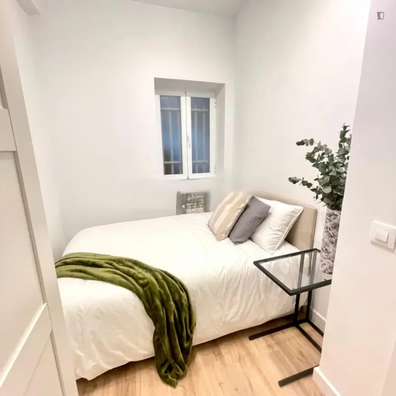 Habitacion Doble Madrid Estudiantes Jovenes