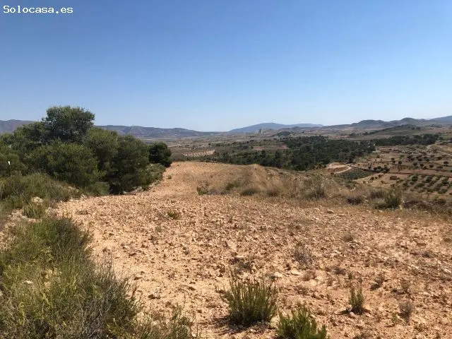 Parcela con Vistas Panorámicas en La Zarza Badajoz