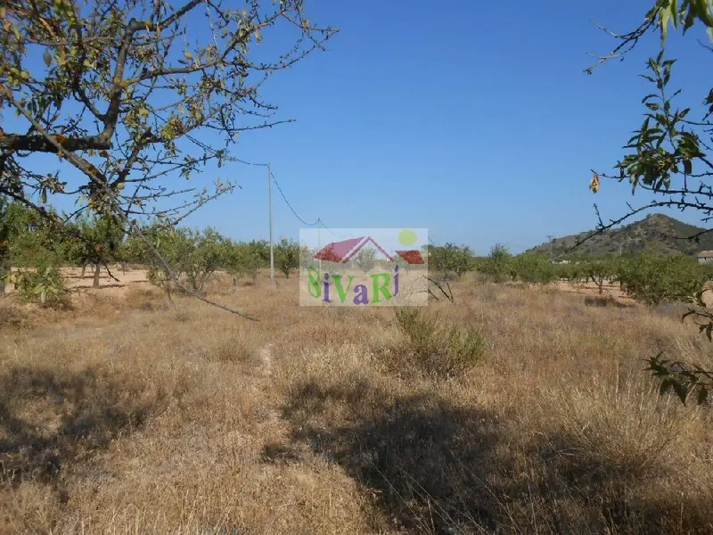 Venta Finca Rustica Ricote Murcia