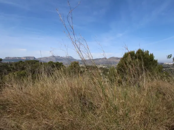 Terreno en Venta Benissa 15000m2 Vistas Montaña