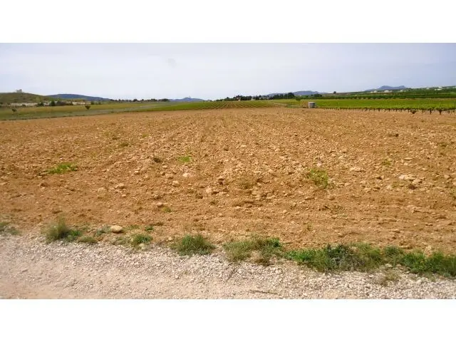 Finca Rustica en Venta Pinoso Alicante