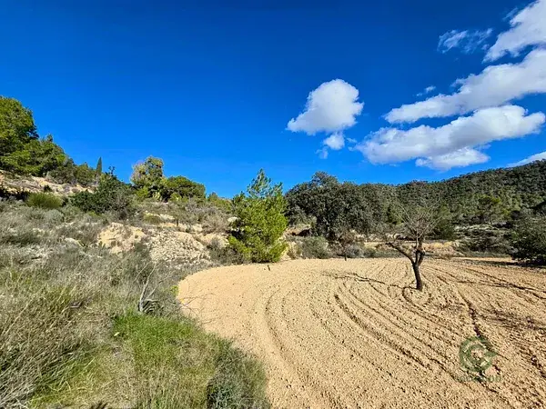 Finca Rústica en Monóvar 23691m2