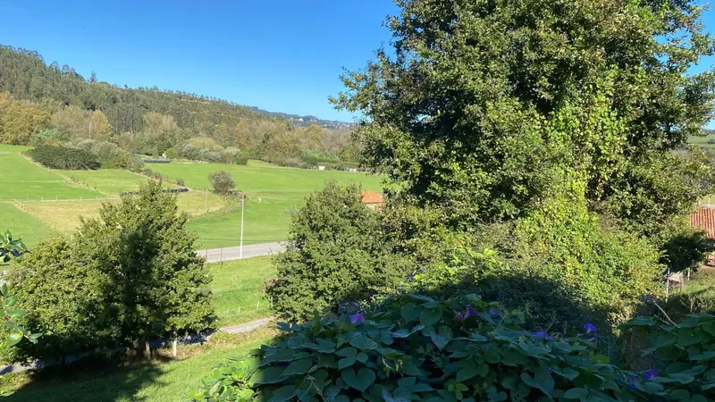 Venta Terreno 1215 m2 Piélagos Cantabria Viviendas Unifamiliares