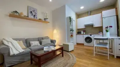 Alquiler Piso Calle Limonero Madrid 40m2 Temporada