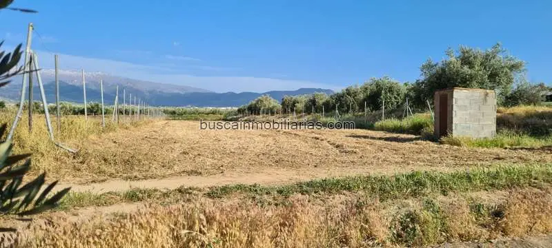 Parcela Rustica en Venta Las Gabias Sierra Nevada