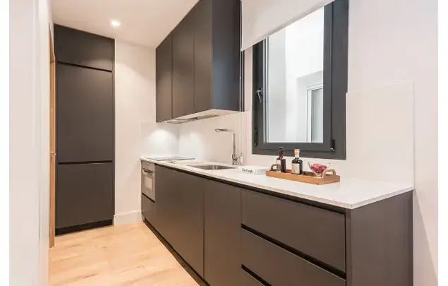 Alquiler Apartamento 1 Dormitorio Madrid 40m2