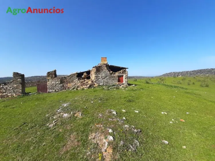 Venta  de Finca ganadera en Cáceres