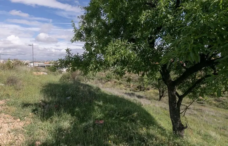 Venta Parcela en La Zubia 200m2  Ref 06240
