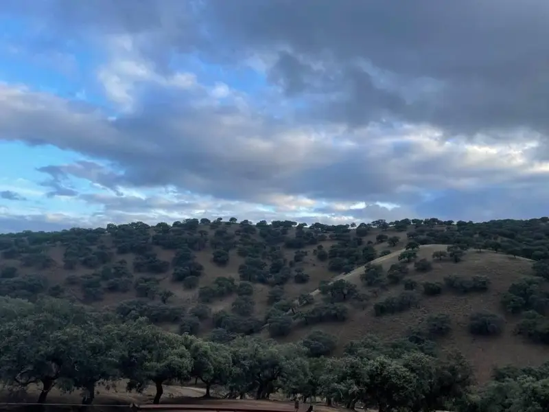 Venta Terreno Rustico 709800m2 Mairena del Aljarafe