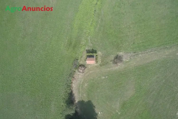 Venta  de Finca de recreo en Asturias