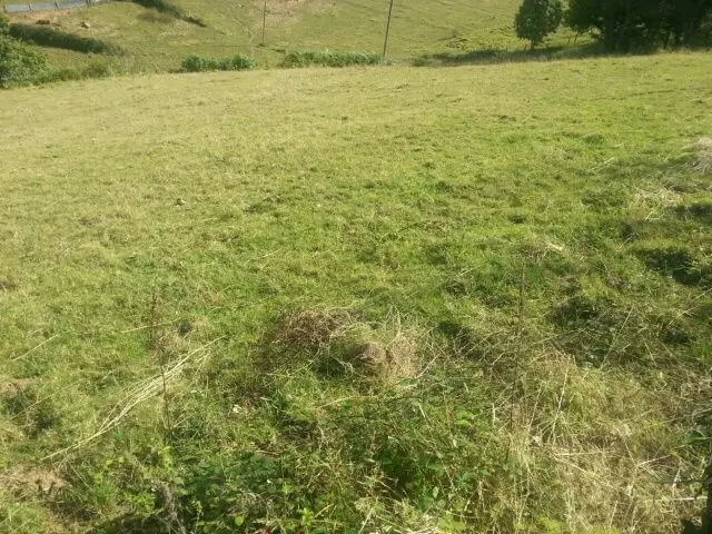 Venta Finca Rustica Puentevega 2900m2