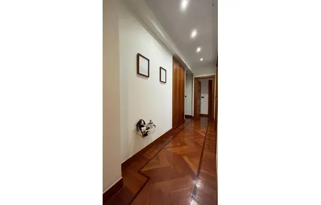 Alquiler Apartamento 6 Dormitorios Bilbao 3-24 Meses