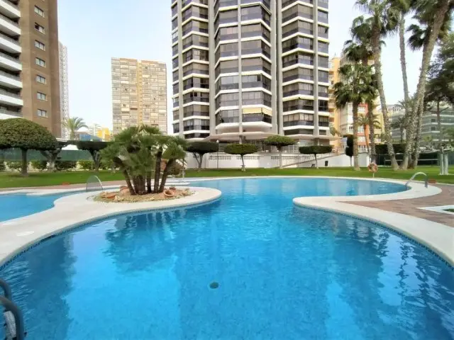 Apartamento 1 Dormitorio Benidorm Alquiler Cerca Playa