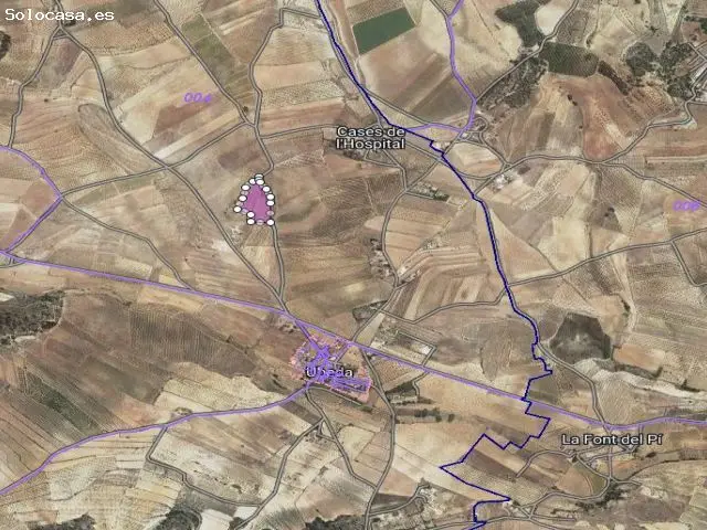 Parcela en Venta Pinoso Alicante