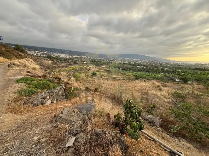 Venta Terreno 12000m2 Valle La Orotava Cultivo Frutales