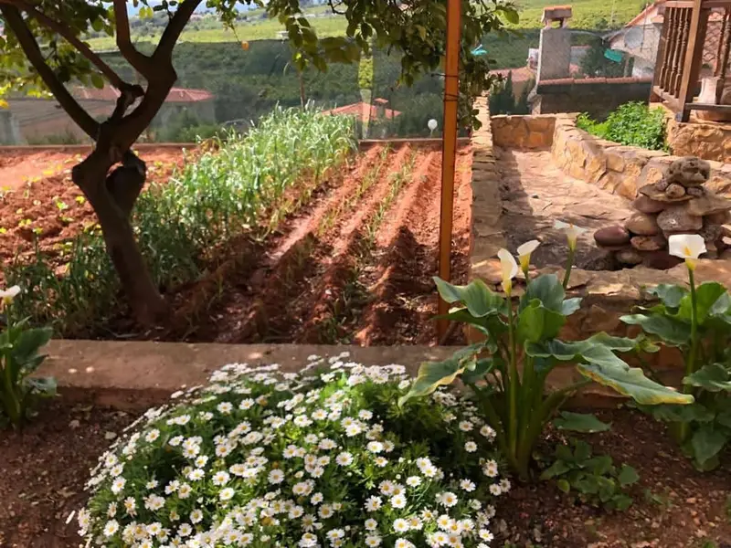 Pareado en venta en Borriol, Castellón