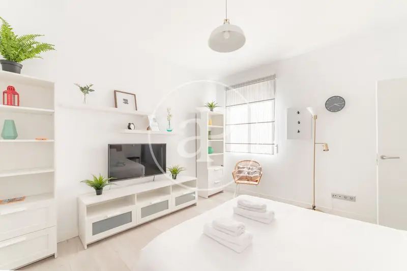 Estudio en alquiler en Malasaña