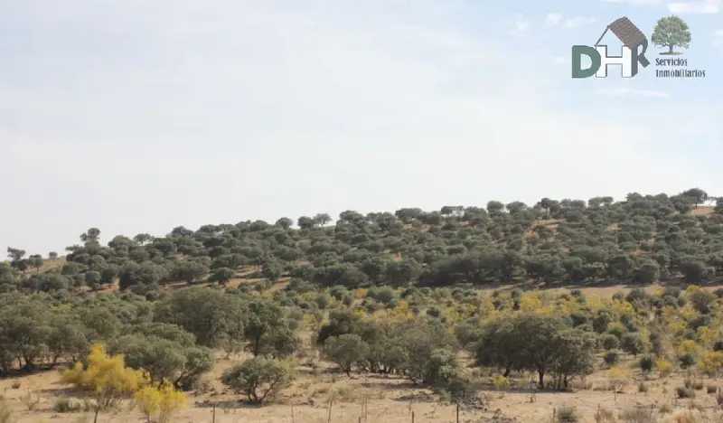 Venta Finca Rustica Ganadera 374 Has Badajoz