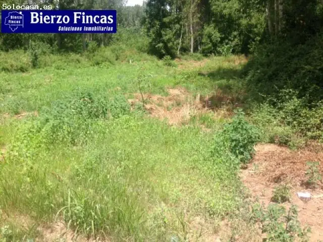 Finca Rustica en Venta Ponferrada Dehesas 2400m2