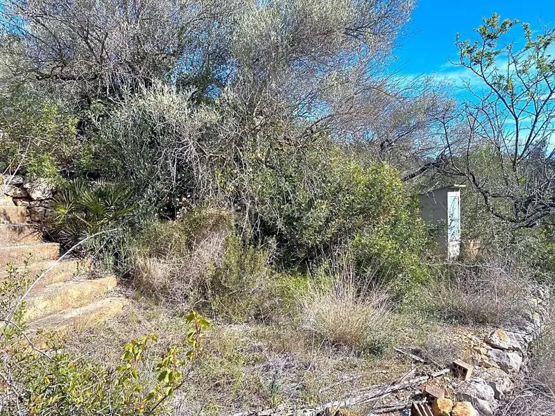 Finca Rustica en Venta El Perello Tarragona
