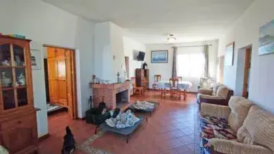 Finca Rustica en Venta La Palma del Condado