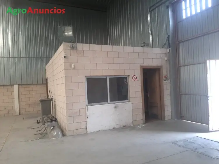 Alquiler  de Nave industrial en Ávila