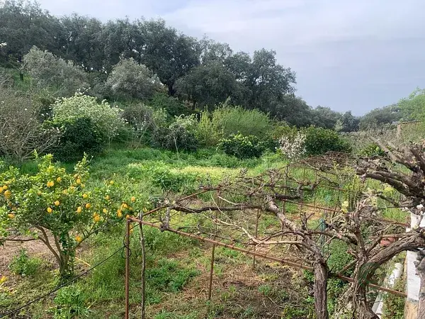 Casa Rural con Piscina y Huerta cerca de San Vicente Alcántara