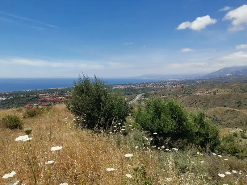Terreno Rustico en Venta Marbella