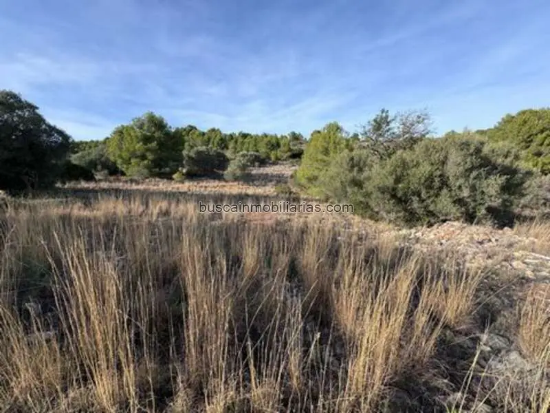 Parcela en Venta en Benissa La Solana