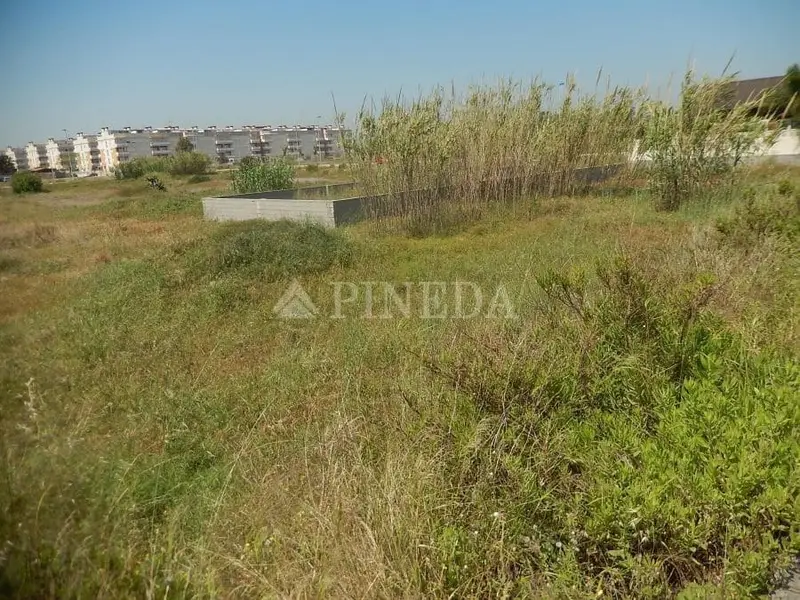 Parcela en Venta Almenara Castellon Cerca del Mar