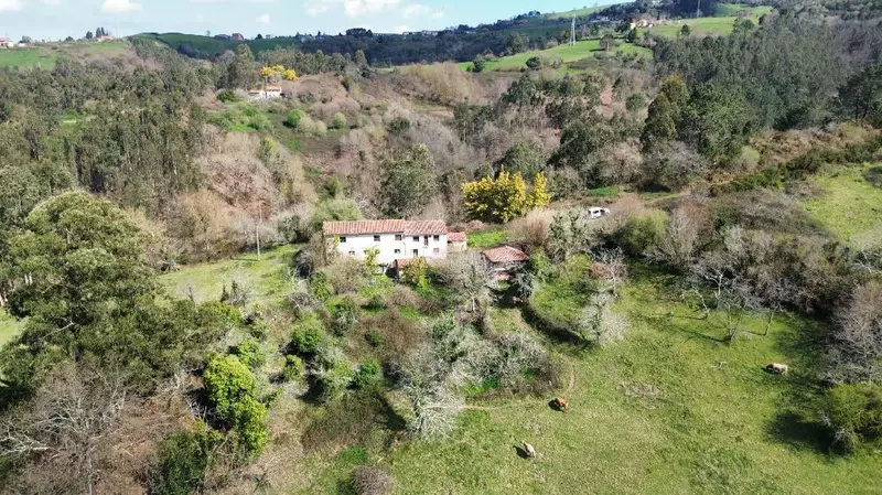 Venta Casa con Finca 17 Hectareas Muño Pola de Siero