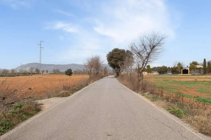 Parcela Rustica en Venta Albolote