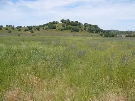 Finca Rustica 4000 Hectareas Sevilla