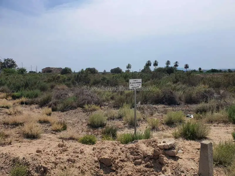 Parcela Rustica en Venta Elche Cerca de La Marina