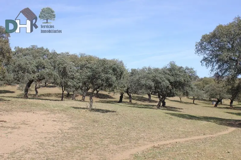 Venta Finca Rustica 110 Hectareas Badajoz Ganaderia
