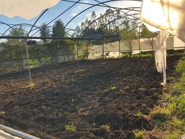 Finca 10300m2 Pontenova Vilagarcia Inversor
