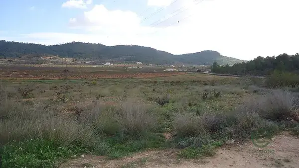 Parcela Rustica 6374m2 con Agua de Riego en Pinoso Alicante
