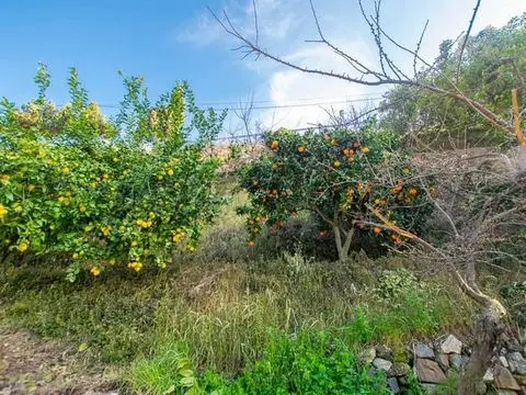 Terreno en Venta Canillas de Albaida Ideal para Plantacion