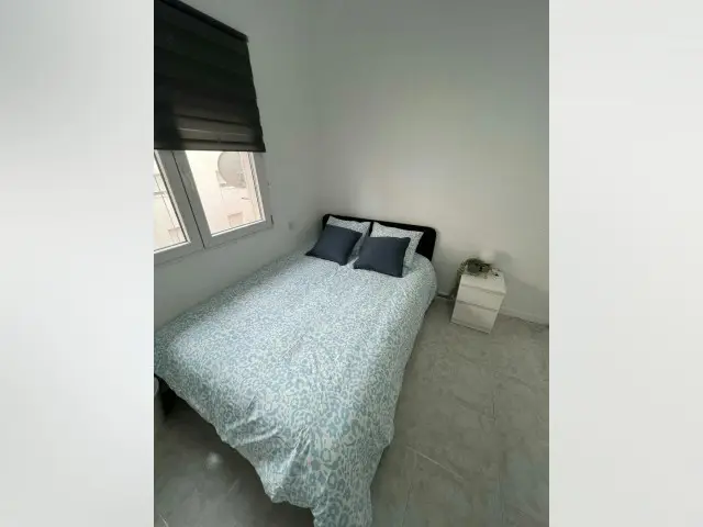 Habitacion Alquiler Alicante Estudiantes Profesionales