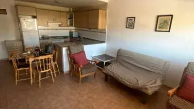 Alquiler Piso Miami Platja Profesores Septiembre Junio