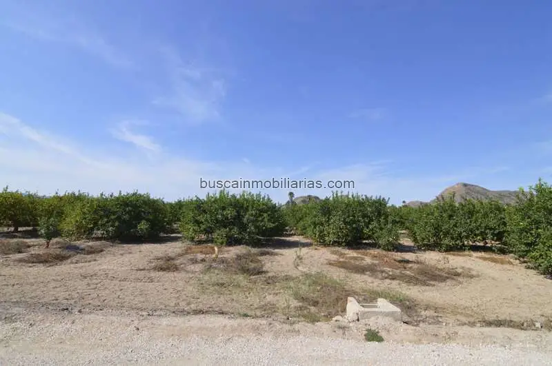 Parcela Rustica en Venta Santomera 2600m2