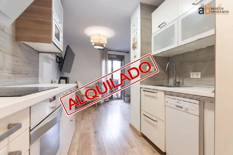 Alquiler Piso 1 Habitacion Casco Antiguo Pamplona